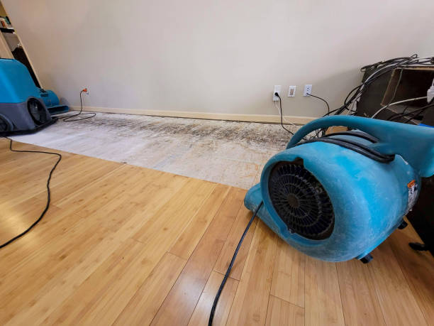 Reliable Basement Flood Cleanup contractor in Lawton, OK by Hirex Water Damage