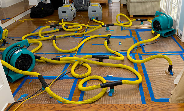 Professional Basement Flood Cleanup technician working in Lawton, OK